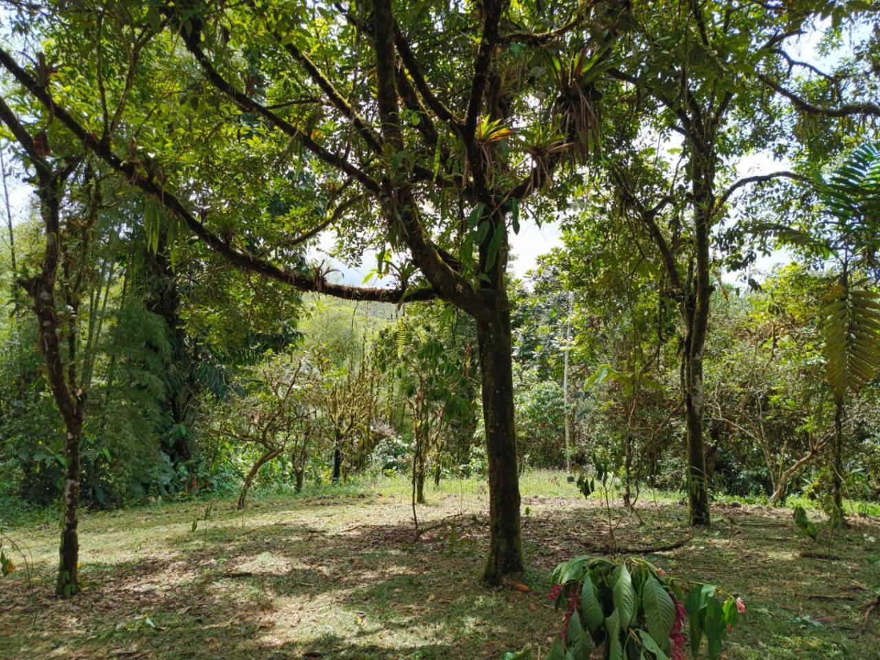 Hosteria Sapos Y Ranas Milpe Dış mekan fotoğraf