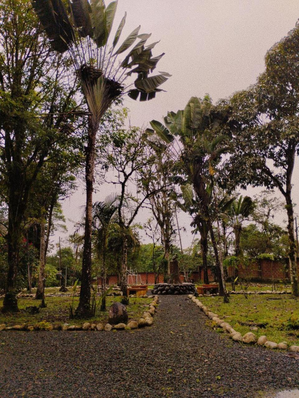 Hosteria Sapos Y Ranas Milpe Dış mekan fotoğraf